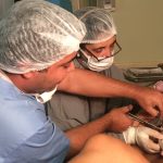 Parto humanizado; parto normal; parto na penumbra; parto respeitoso; Parto sob analgesia; Parto à fórceps