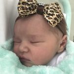 Parto na penumbra; parto humanizado; parto cesariana; parto respeitoso; parto cesárea; cesárea pele a pele; Bem-Nascida