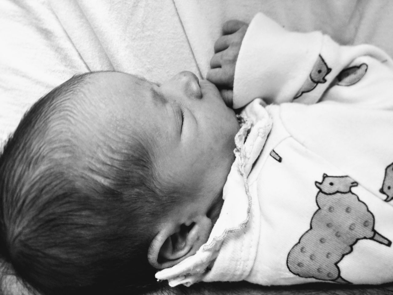 89b91d42-7685-4367-a76c-0a256c00b076