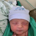 Parto na penumbra; parto humanizado; parto cesariana; parto respeitoso; parto cesárea; cesárea intra-parto; cesárea iterativa