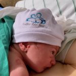 Parto humanizado; parto normal; parto na penumbra; parto respeitoso; Parto com analgesia; Bem-Nascida; parto em suíte; PPP