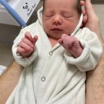 Parto na penumbra; BIRTH; parto pélvico; parto humanizado; parto cesariana; parto respeitoso; parto cesárea; cesárea humanizada; Bem-Nascido