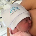 Birth; parto humanizado; parto cesariana; parto respeitoso; bem-nascida; parto cesárea