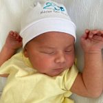 01ff2b76-46df-4658-b020-d3b77394ae0d