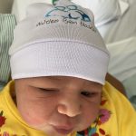 Parto Cesáreo; Parto Humanizado; Parto Respeitoso; Bem-Nascida; BIRTH; Parto na penumbra; Parto Leboyer; Parto Pélvico