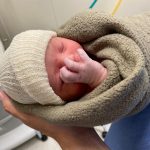 Parto humanizado; cesariana humanizada; parto respeitoso; parto em suíte; parto; PPP