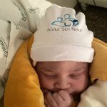 Parto Cesáreo; Parto Humanizado; Parto Respeitoso; Bem-Nascido; BIRTH; Parto na penumbra; Parto Leboyer