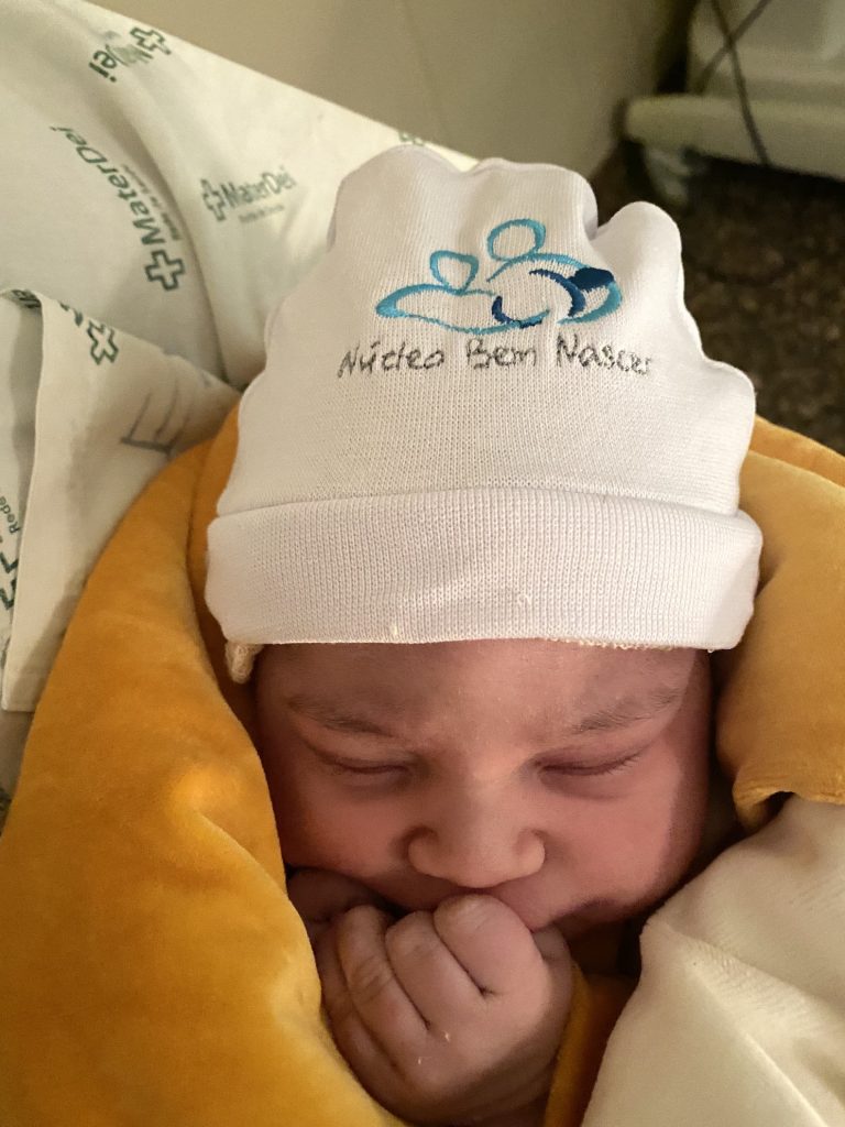 Parto Cesáreo; Parto Humanizado; Parto Respeitoso; Bem-Nascido; BIRTH; Parto na penumbra; Parto Leboyer