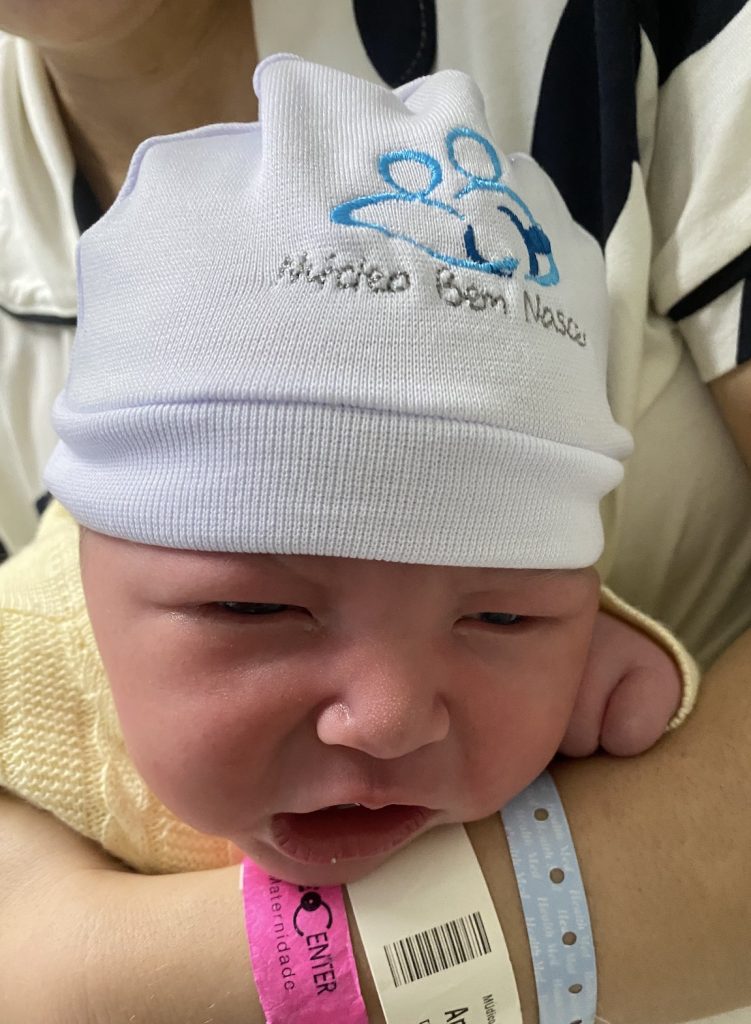 Parto Humanizado; Parto Respeitoso; Bem-Nascido; BIRTH; Parto na penumbra; Parto Leboyer; Parto Cesárea