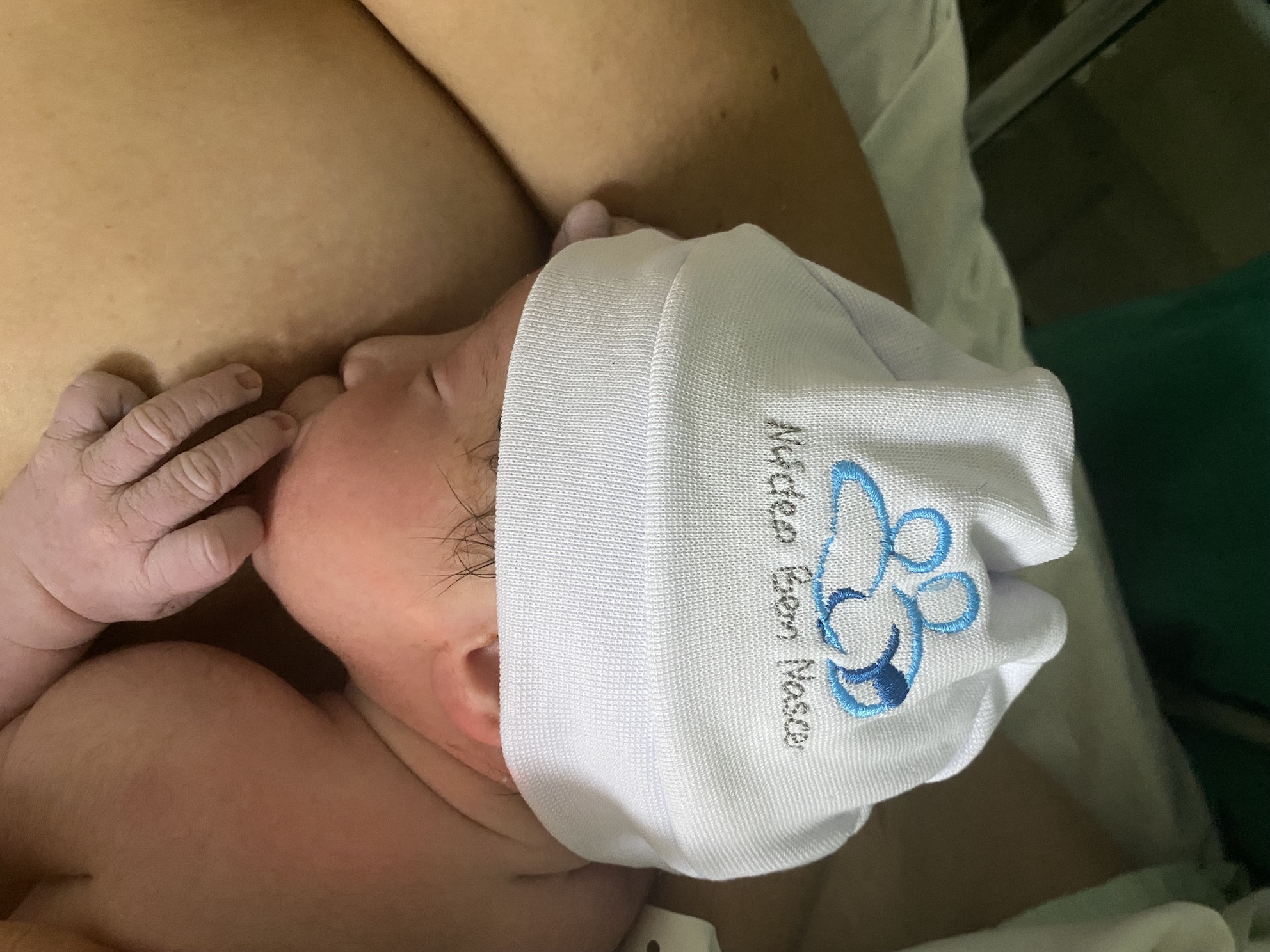 Parto Humanizado; Parto Respeitoso; Bem-Nascido; BIRTH; Parto na penumbra; Parto Leboyer; Parto no Banquinho; Parto de Cócoras; Parto com Analgesia