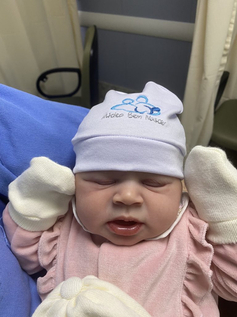 Parto Cesáreo; Parto Humanizado; Parto Respeitoso; Bem-Nascida; BIRTH; Parto na penumbra; Parto Leboyer; iterativa