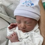 Parto Cesáreo; Parto Humanizado; Parto Respeitoso; Bem-Nascido; BIRTH; Parto na penumbra; Parto Leboyer