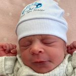 Lis em seu momento soneca.