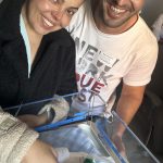 Parto Humanizado; Parto Respeitoso; Parto NBN; Bem-Nascido; Parto na penumbra; BIRTH; Cesárea urgência; Parto Prematuro