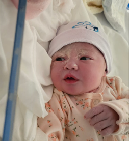 Bem-nascida Gabriela.