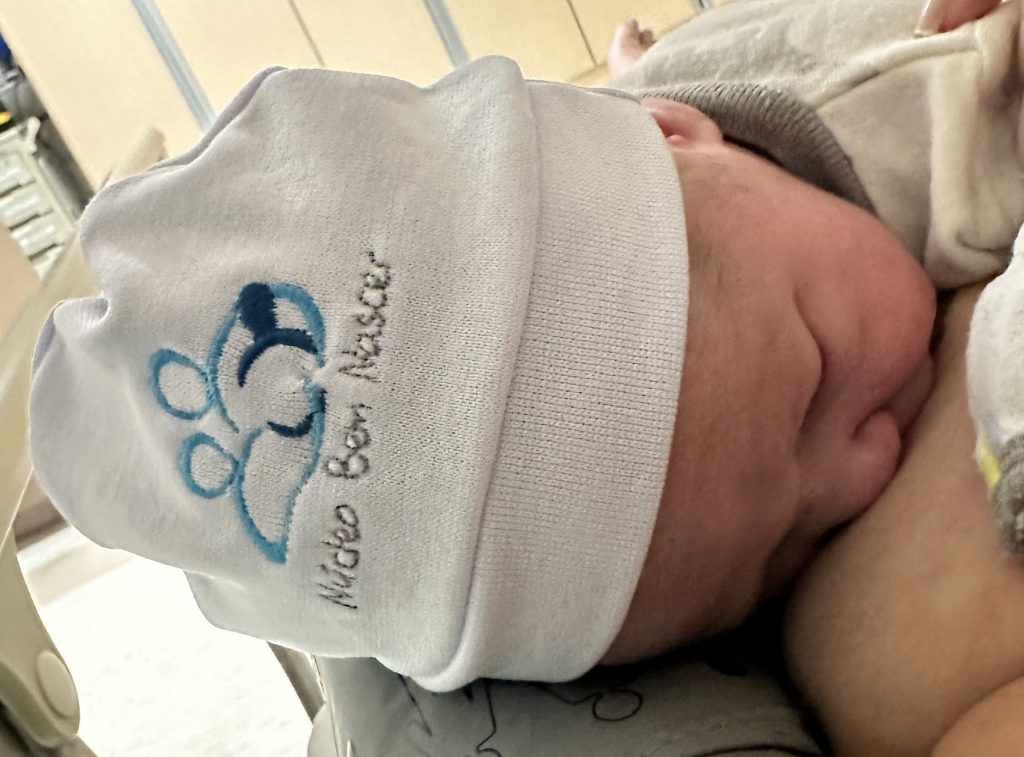 Parto Cesáreo; Parto Humanizado; Parto Respeitoso; Bem-Nascido; BIRTH; Parto na penumbra; Parto Leboyer