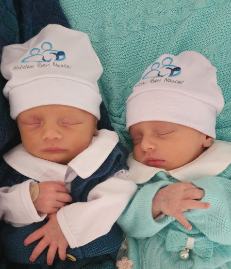 Bem-nascidos Arthur e Sophia.