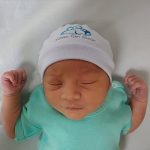 Bem-Nascido; Parto Humanizado; Parto Respeitoso; Parto na Penumbra; NBN; Birth